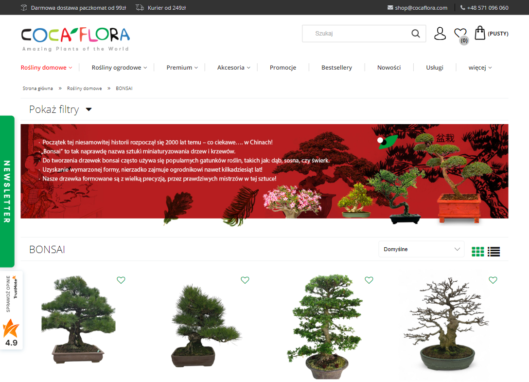 Bonsai w kulturze japońskiej - żywe dziedzictwo natury i estetyki