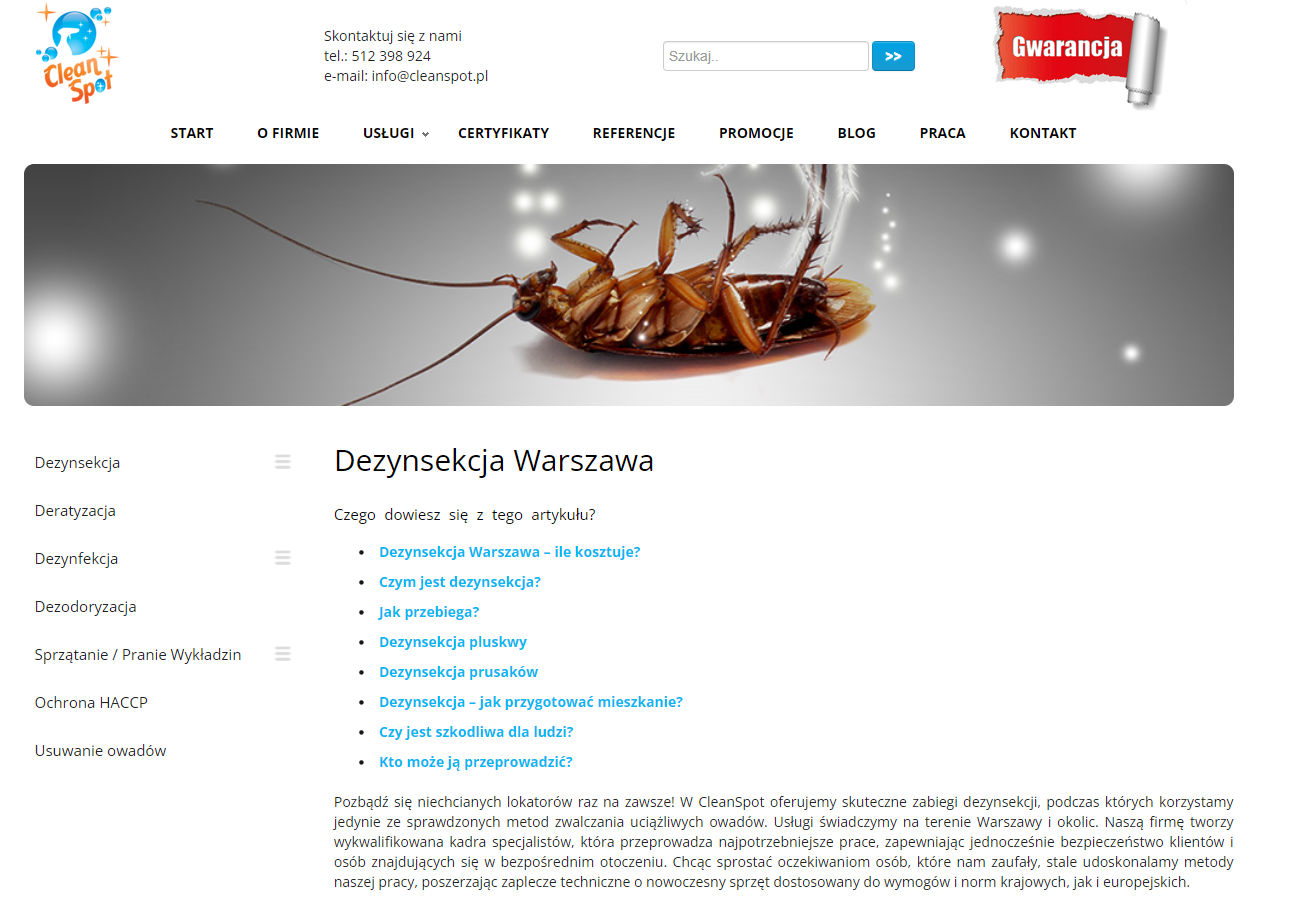 Masz dość insektów w domu? Sprawdź, jak wygląda skuteczna dezynsekcja