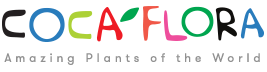 Logo GTP Harvey Michał Gąstał