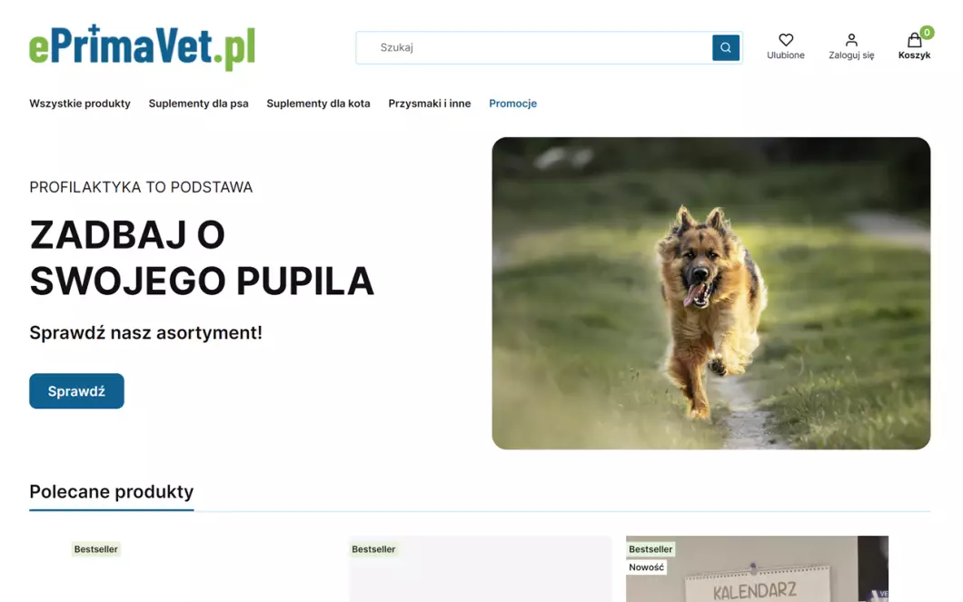 Zrzut ekranu strony